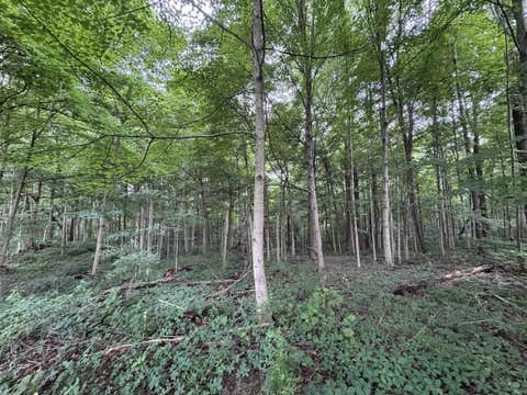 Tiny photo for 1234 N Paw Paw Pike, Peru, IN 46970 (MLS # 202630322)