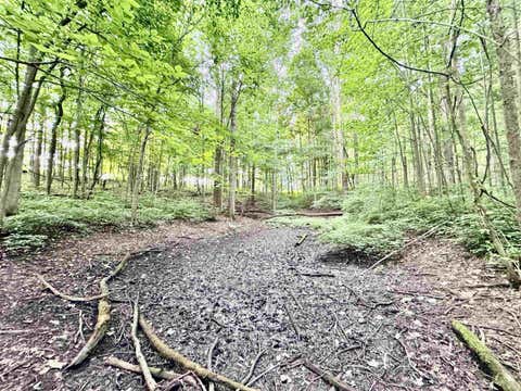 Tiny photo for 1234 N Paw Paw Pike, Peru, IN 46970 (MLS # 202630322)