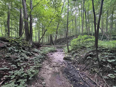 Tiny photo for 1234 N Paw Paw Pike, Peru, IN 46970 (MLS # 202630322)