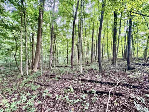 Tiny photo for 1234 N Paw Paw Pike, Peru, IN 46970 (MLS # 202630322)