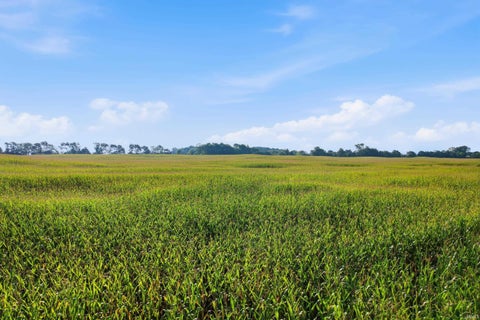Tiny photo for 5XXX E US Highway 36, Mooreland, IN 47360 (MLS # 202638832)