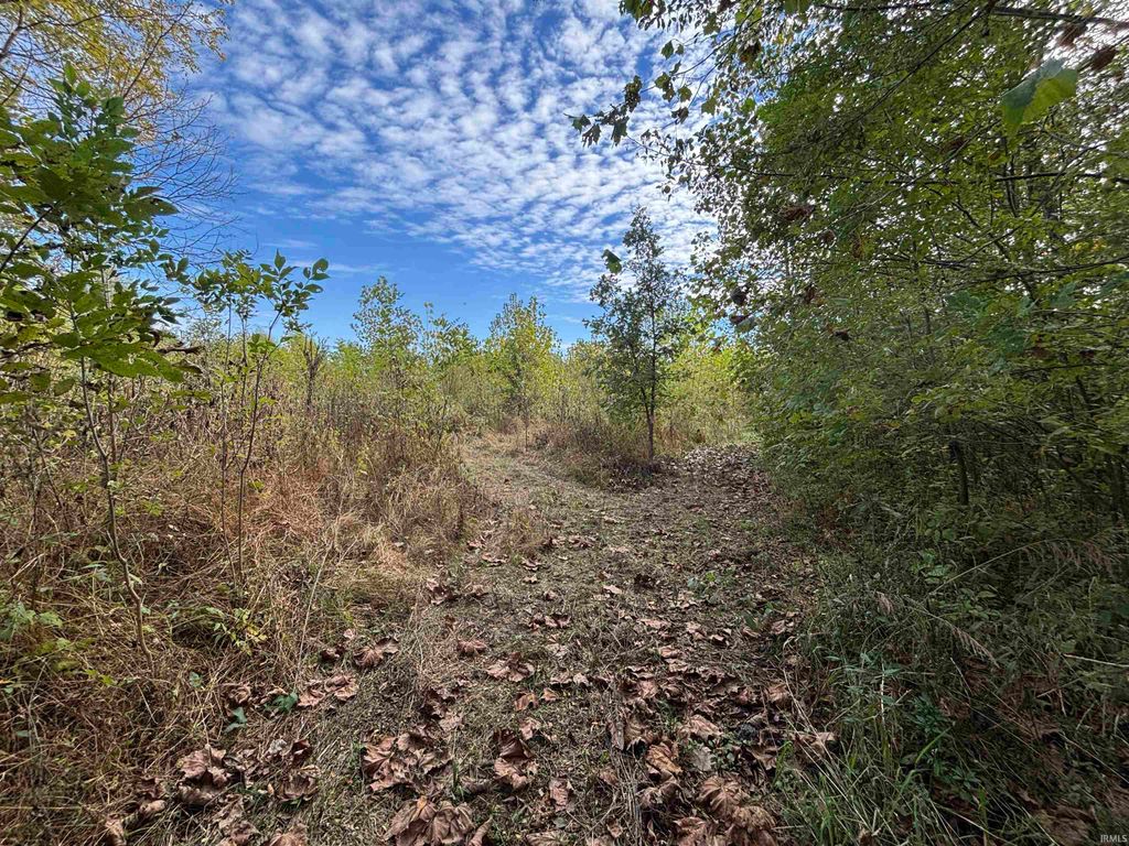 Photo of 00 E 200 Road, Sullivan, IN 47882 (MLS # 202541526)