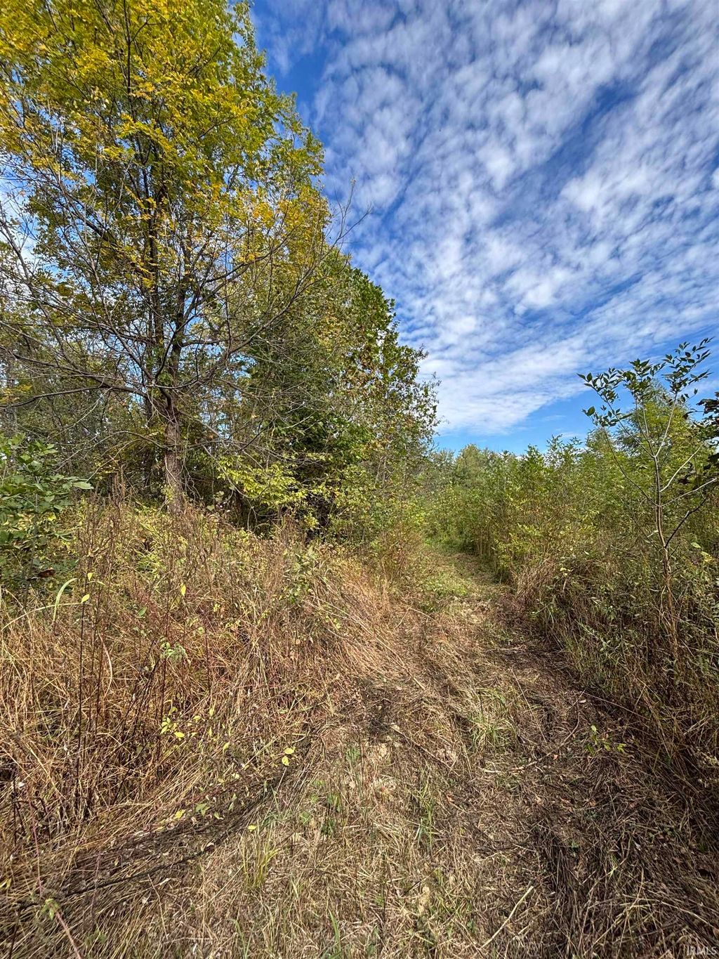 Photo of 00 E 200 Road, Sullivan, IN 47882 (MLS # 202541526)