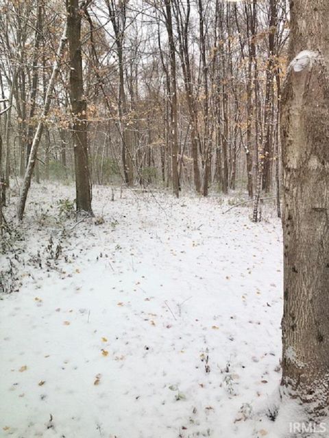 Tiny photo for 235 N Corporation Line Road, Veedersburg, IN 47987 (MLS # 202545512)