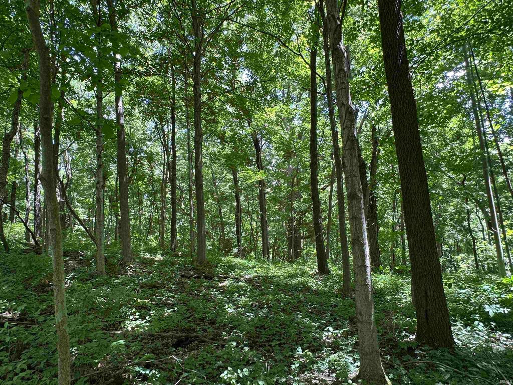 Photo of 4645 S West County Line Road, Fort Wayne, IN 46814 (MLS # 202625899)