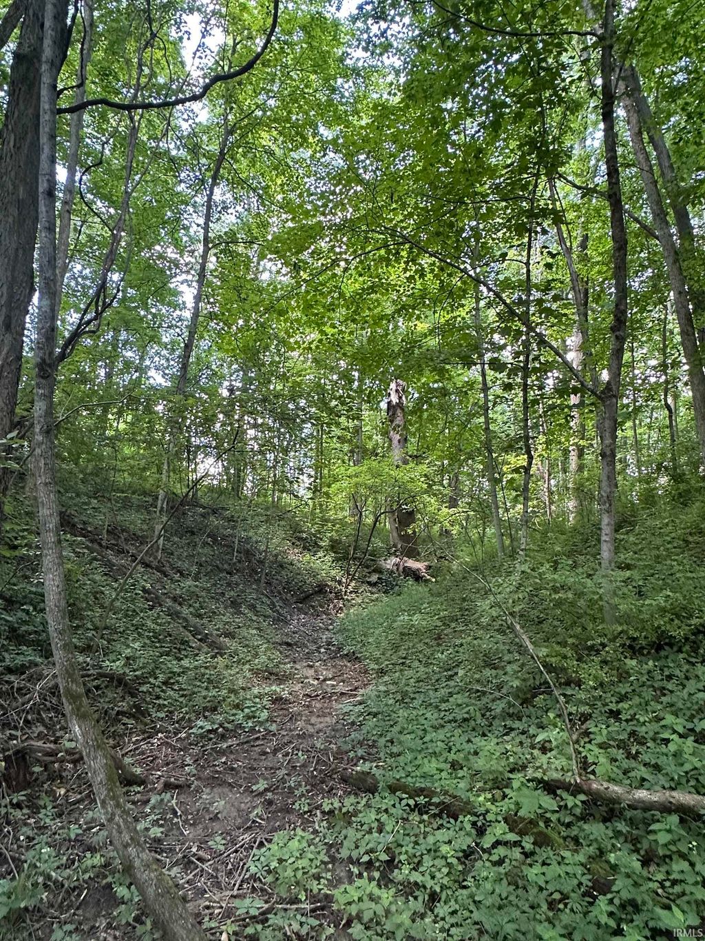 Photo of 4645 S West County Line Road, Fort Wayne, IN 46814 (MLS # 202625899)