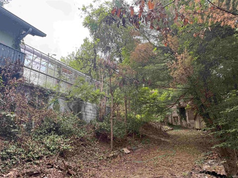 Tiny photo for 11985 State Highway 243 Road, Cloverdale, IN 46120 (MLS # 202634331)