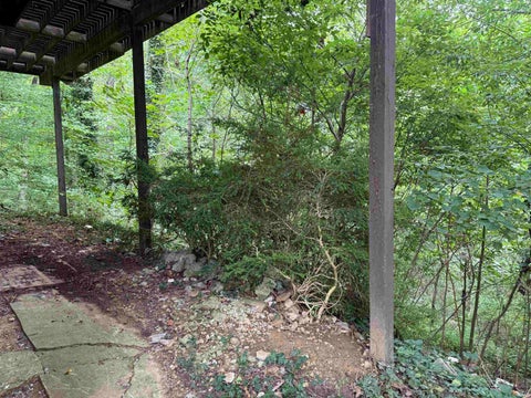 Tiny photo for 11985 State Highway 243 Road, Cloverdale, IN 46120 (MLS # 202634331)