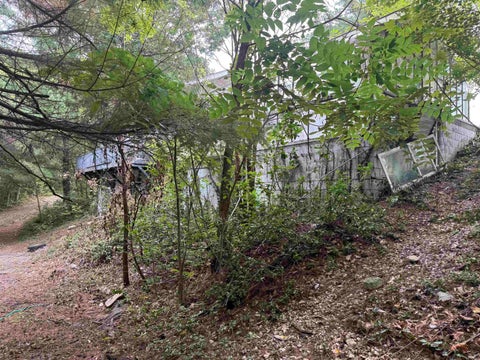 Tiny photo for 11985 State Highway 243 Road, Cloverdale, IN 46120 (MLS # 202634331)