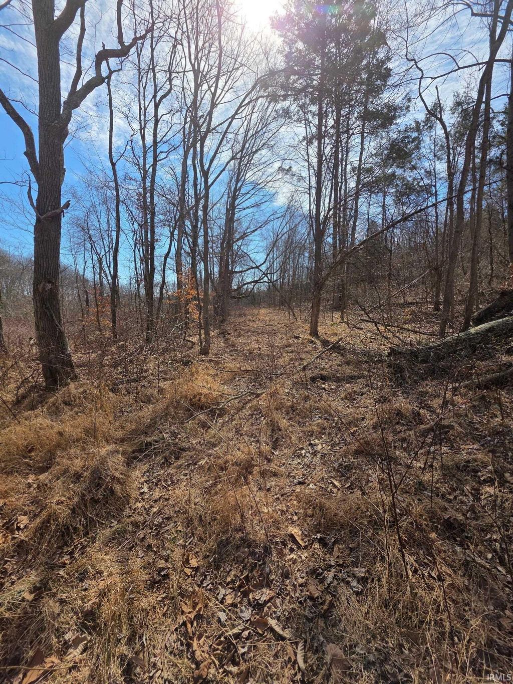 Photo of Optical Road, St. Croix, IN 47576 (MLS # 202612439)