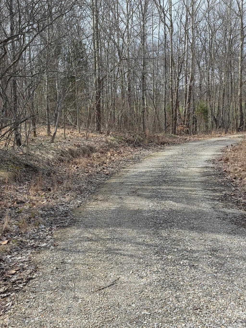 Photo of Optical Road, St. Croix, IN 47576 (MLS # 202612439)