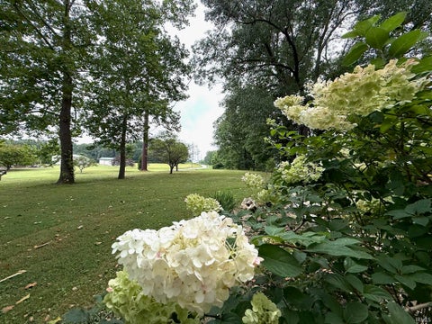 Tiny photo for 3941 S Owensburg Road, Springville, IN 47462 (MLS # 202637794)