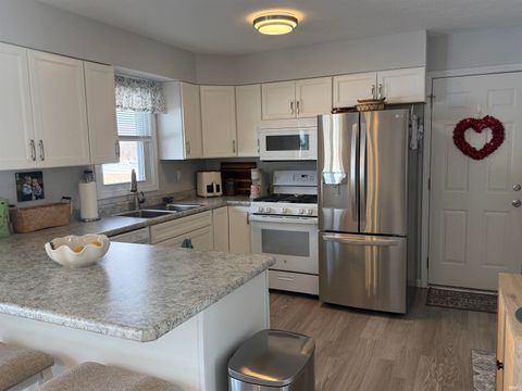 Tiny photo for 6413 E 175 N, Monticello, IN 47960 (MLS # 202605678)