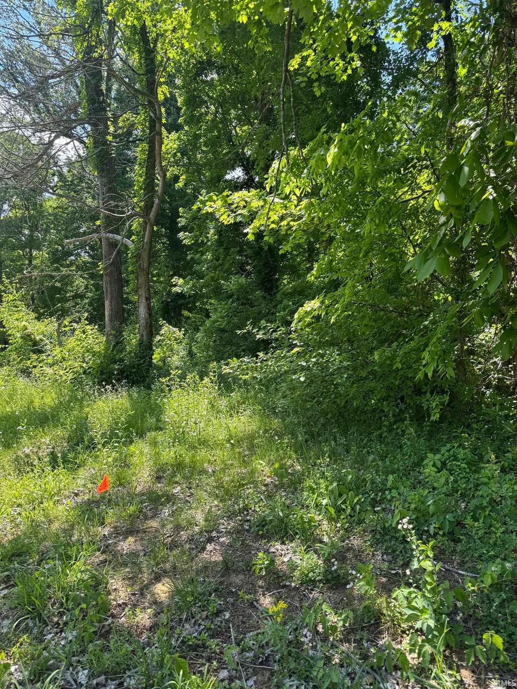 Photo of 6499 WATER STONE Court, Newburgh, IN 47620 (MLS # 202616111)