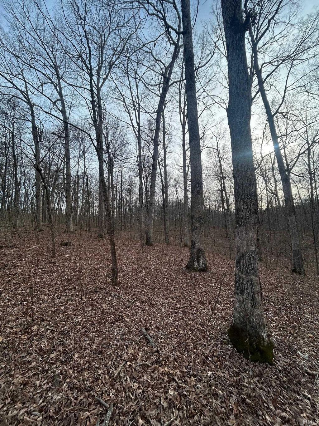 Photo of 0 CR N 1200 Road, Lincoln City, IN 47552 (MLS # 202608878)