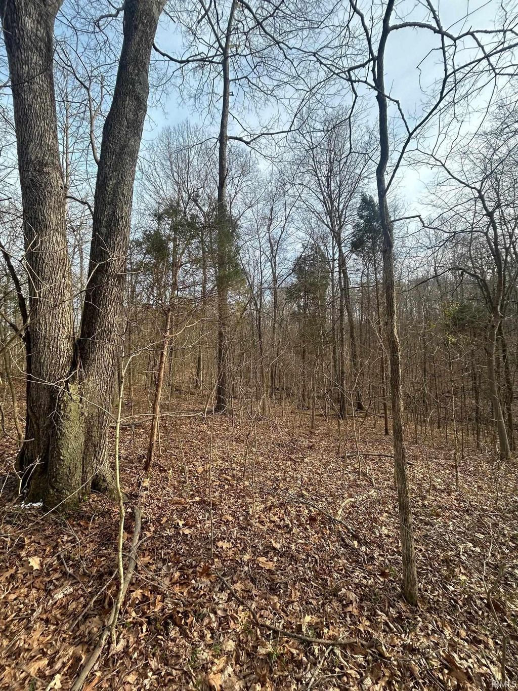 Photo of 0 CR N 1200 Road, Lincoln City, IN 47552 (MLS # 202608878)