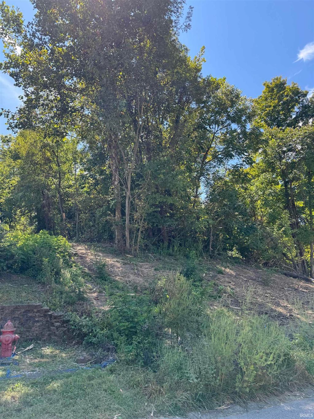 Photo of 732 W Thornridge Way, Spencer, IN 47460 (MLS # 202536536)