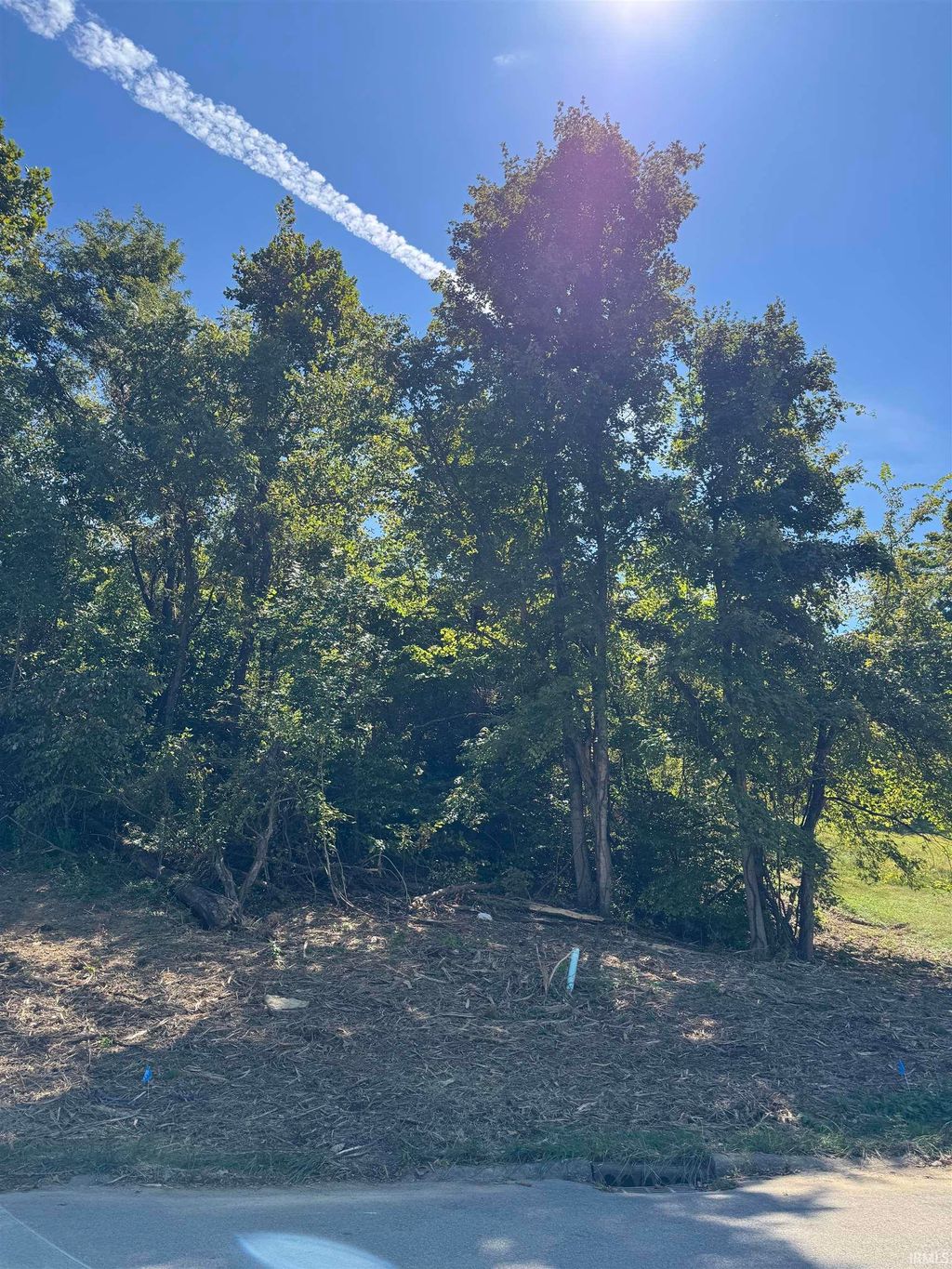 Photo of 732 W Thornridge Way, Spencer, IN 47460 (MLS # 202536536)