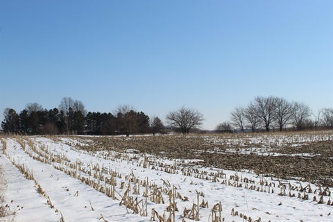Photo for TBD Family Dollar Parkway