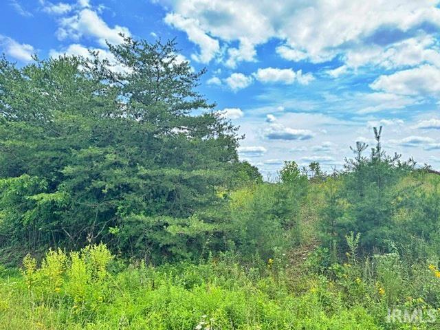 Photo of Glenwood Terrace Lane, Celestine, IN 47521 (MLS # 202630428)