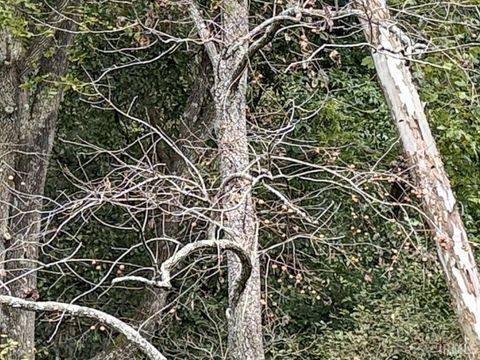 Tiny photo for 13290 East River Road, Shoals, IN 47581 (MLS # 202541332)