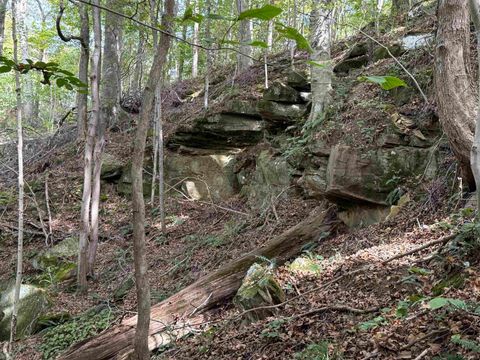 Tiny photo for 13290 East River Road, Shoals, IN 47581 (MLS # 202541332)