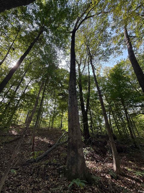 Tiny photo for 13290 East River Road, Shoals, IN 47581 (MLS # 202541332)