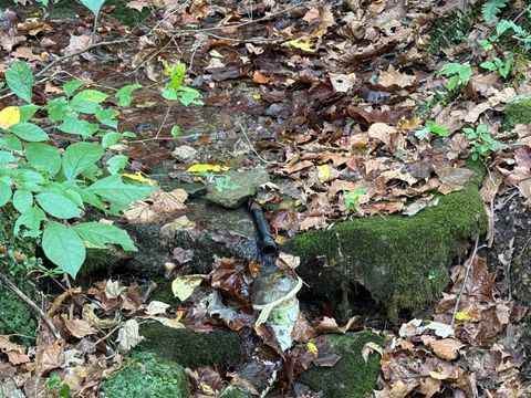 Tiny photo for 13290 East River Road, Shoals, IN 47581 (MLS # 202541332)