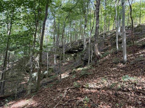 Tiny photo for 13290 East River Road, Shoals, IN 47581 (MLS # 202541332)