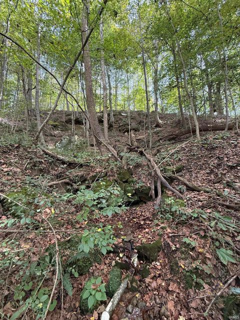 Tiny photo for 13290 East River Road, Shoals, IN 47581 (MLS # 202541332)