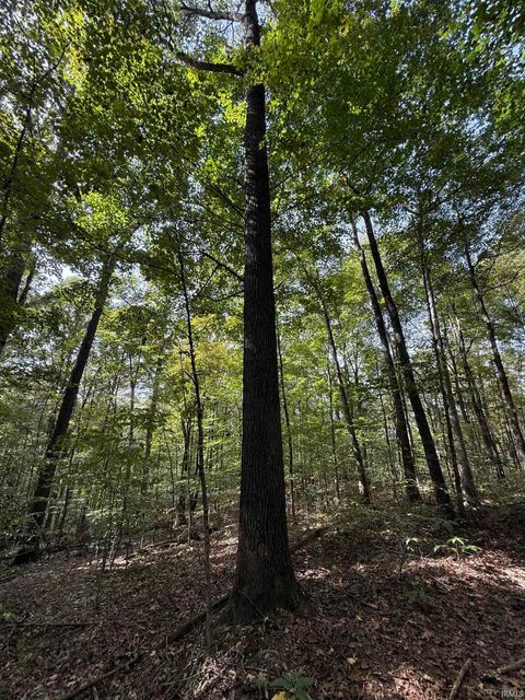 Tiny photo for 13290 East River Road, Shoals, IN 47581 (MLS # 202541332)