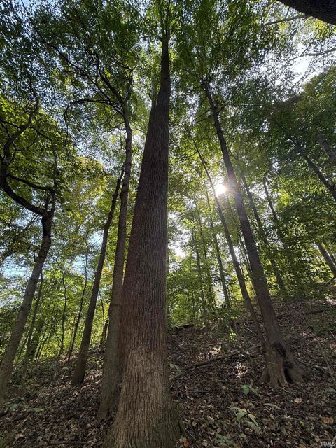 Tiny photo for 13290 East River Road, Shoals, IN 47581 (MLS # 202541332)