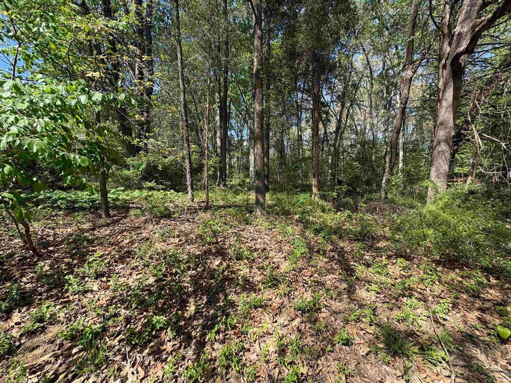 Photo of 358 W Evergreen N Plaza, Santa Claus, IN 47579 (MLS # 202613462)