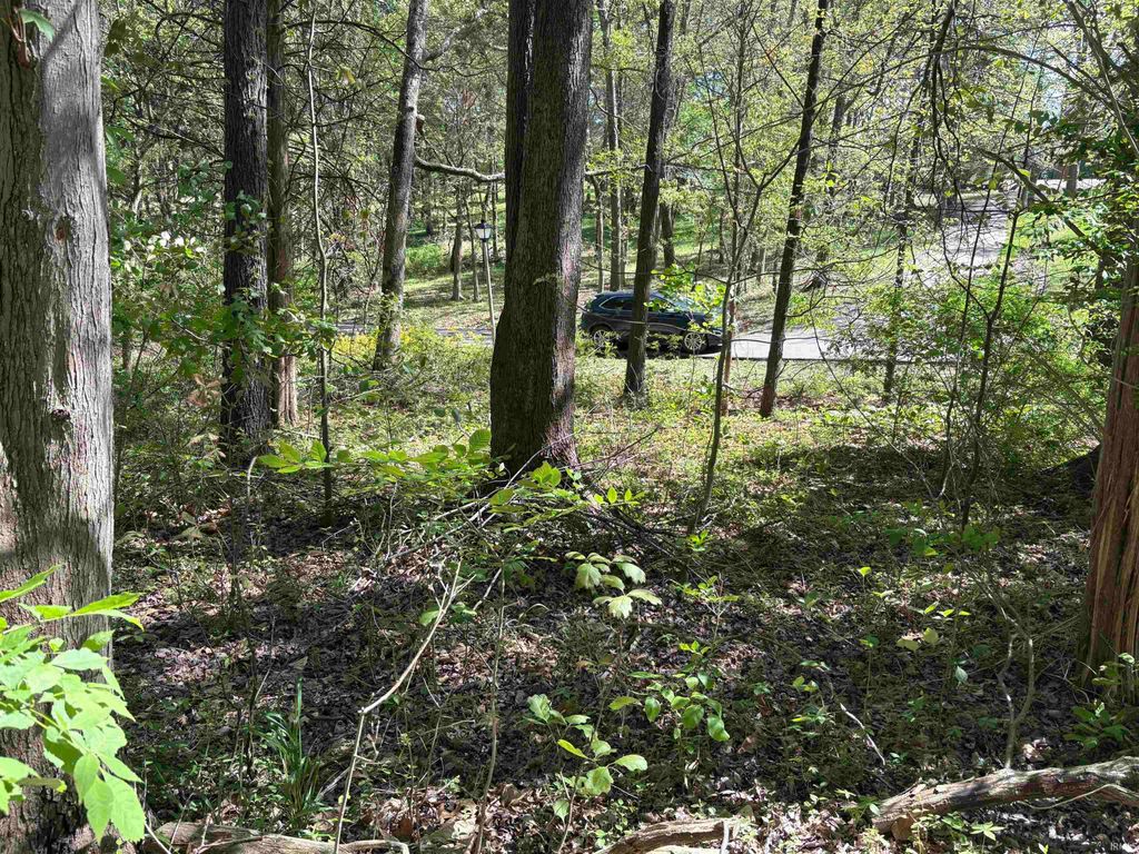 Photo of 358 W Evergreen N Plaza, Santa Claus, IN 47579 (MLS # 202613462)