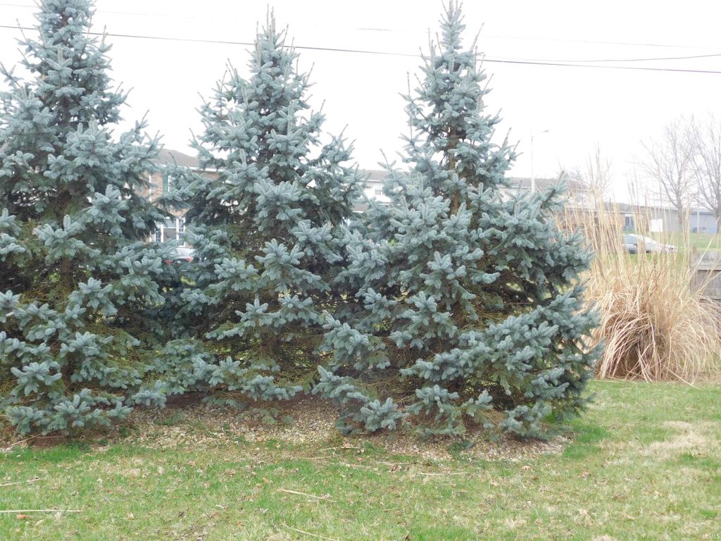 Photo of 8301 N Colony Drive, Yorktown, IN 47396 (MLS # 202611620)