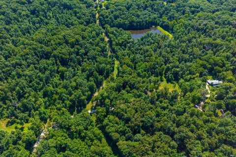 Tiny photo for 00 Jackson Branch Ridge Road, Nashville, IN 47448 (MLS # 202625477)