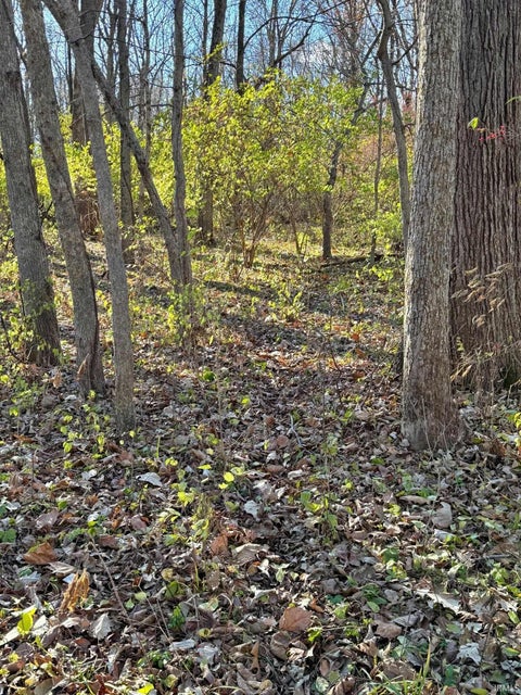 Tiny photo for 4400 Silver Shale Lane, Lafayette, IN 47909 (MLS # 202641276)