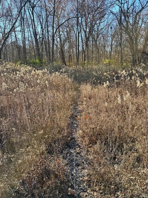 Tiny photo for 4400 Silver Shale Lane, Lafayette, IN 47909 (MLS # 202641276)
