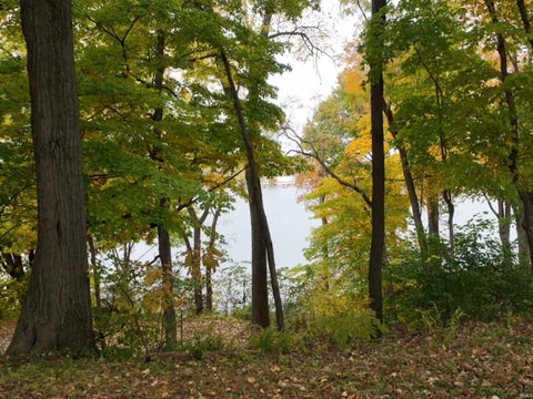 Tiny photo for 8460 N 1175 west Crossroads, Monticello, IN 47960 (MLS # 202644815)