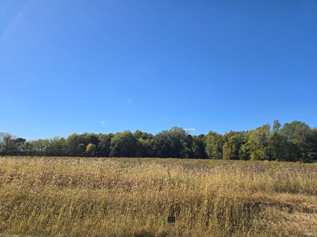 Photo of Lot 8 County Road 17 Drive, Auburn, IN 46706 (MLS # 202541343)