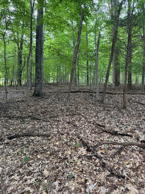 Photo of 4378 E Moores Creek Road, Bloomington, IN 47401 (MLS # 202641800)