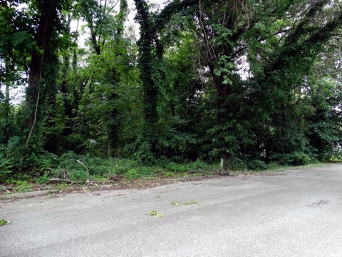 Tiny photo for 3901 3907 3913 Frisse Avenue, Evansville, IN 47714 (MLS # 202634995)