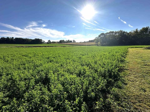 Tiny photo for 0426 S 800 W, Kimmell, IN 46760 (MLS # 202640263)