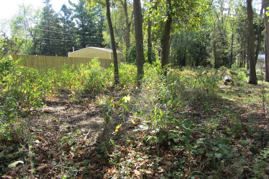 Photo of 000 Lane 420 Jimmerson Lk, Fremont, IN 46737 (MLS # 202541158)
