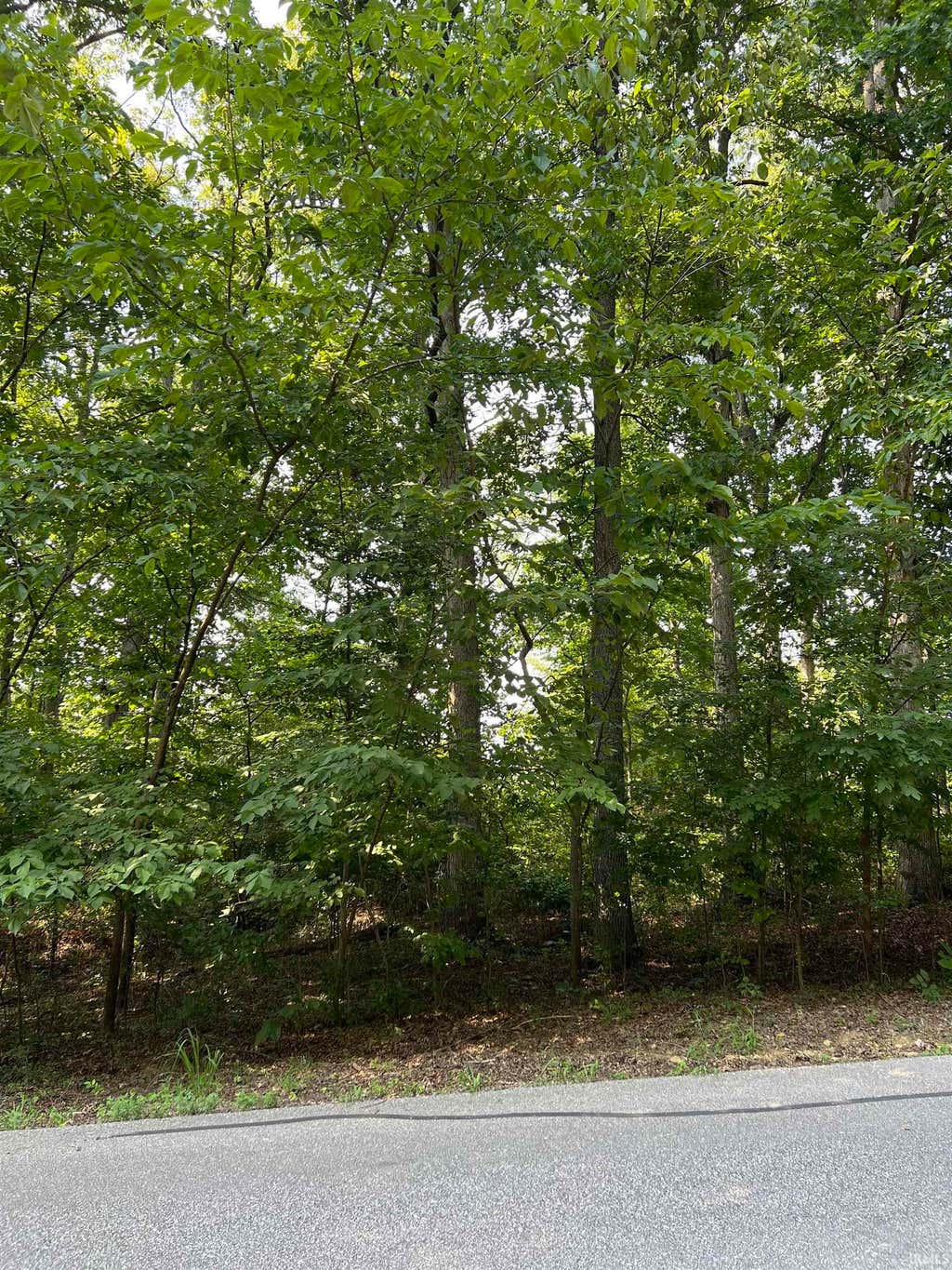 Photo of Melchoir Dr N, Santa Claus, IN 47579 (MLS # 202631645)
