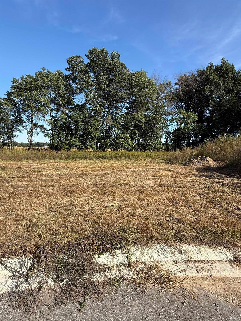 Photo of 50967 Tasha Drive, Bristol, IN 46507 (MLS # 202642793)