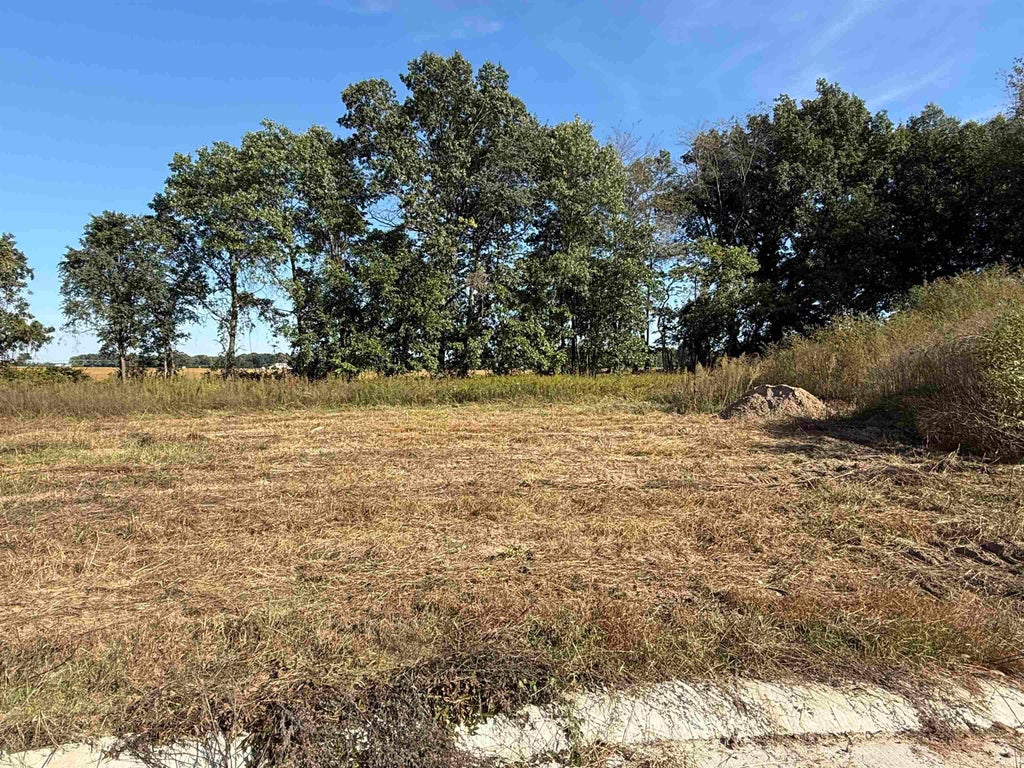 Photo of 50967 Tasha Drive, Bristol, IN 46507 (MLS # 202642793)