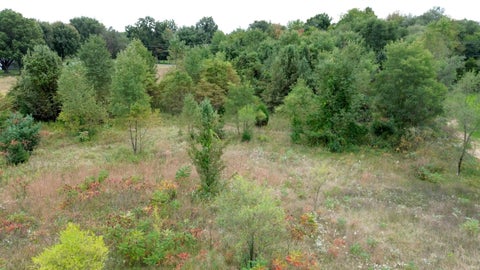 Tiny photo for VL County Road 10, Granger, IN 46530 (MLS # 202640268)