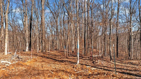 Tiny photo for 7594 N Shilo Road, Unionville, IN 47468 (MLS # 202607873)