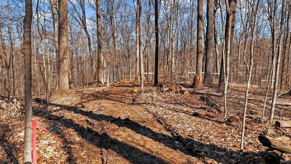 Photo of 7594 Shilo North Road, Unionville, IN 47468 (MLS # 202607873)